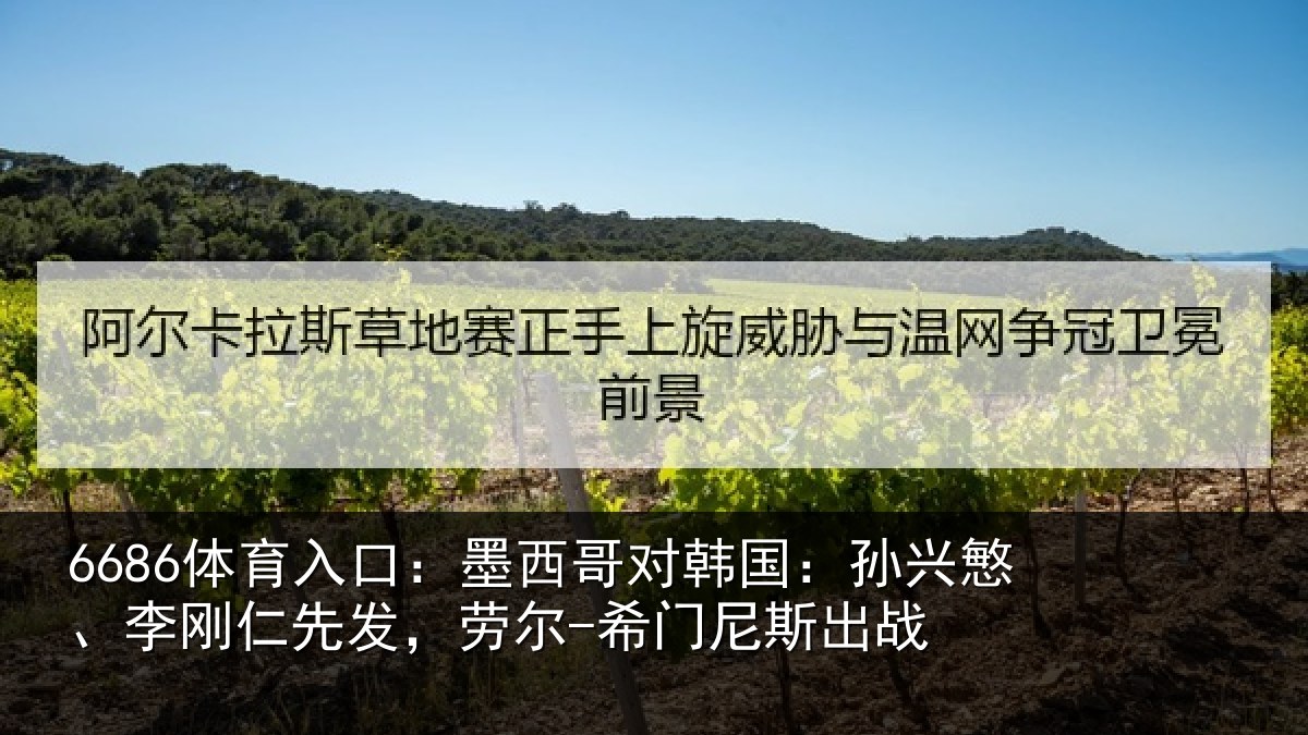 6686体育入口：墨西哥对韩国：孙兴慜、李刚仁先相关情况战